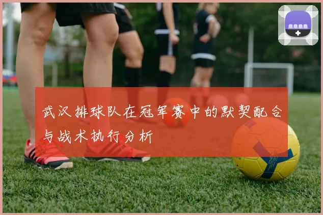 武汉排球队在冠军赛中的默契配合与战术执行分析